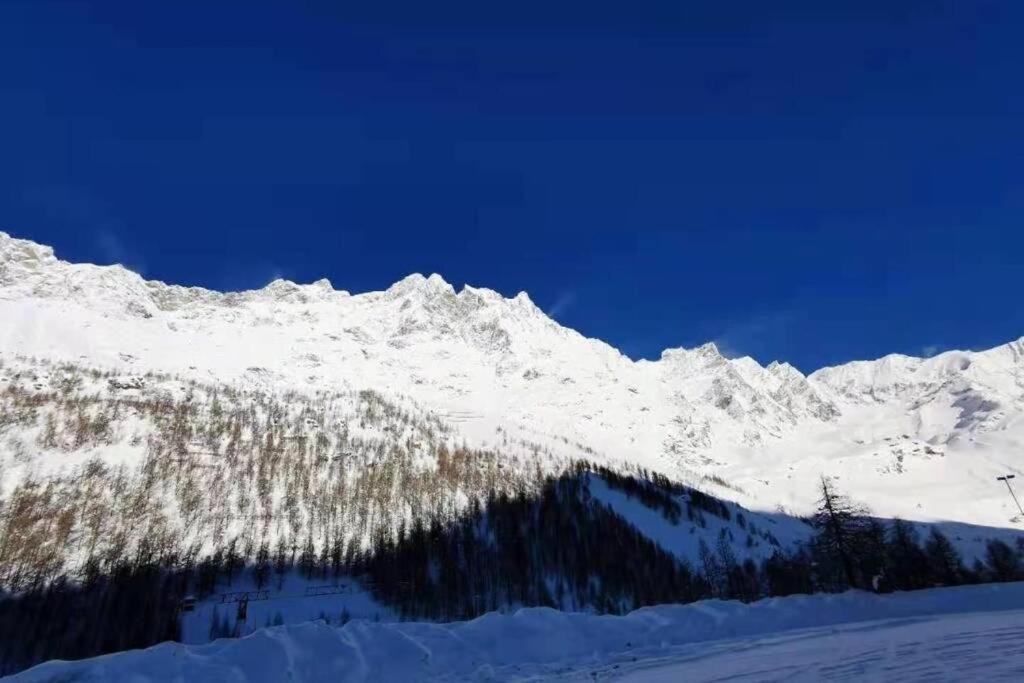 Homey Apartment In The Heart Of Cervinia 布勒伊-切尔维尼亚 外观 照片